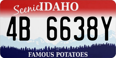 ID license plate 4B6638Y