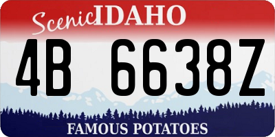 ID license plate 4B6638Z