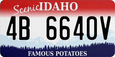 ID license plate 4B6640V