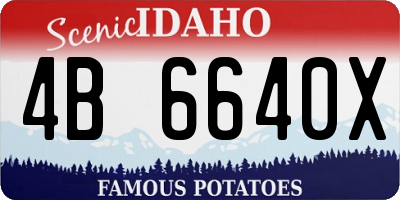 ID license plate 4B6640X