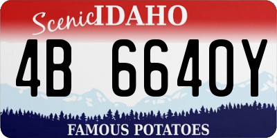ID license plate 4B6640Y