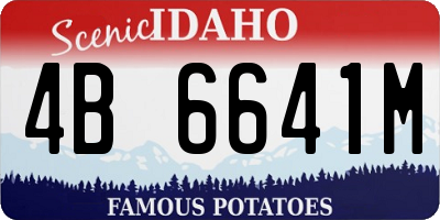 ID license plate 4B6641M