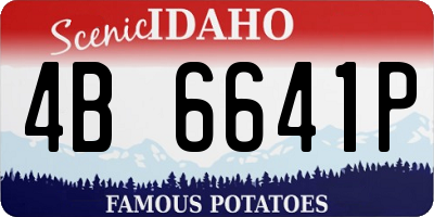 ID license plate 4B6641P