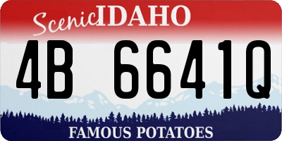 ID license plate 4B6641Q