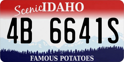 ID license plate 4B6641S