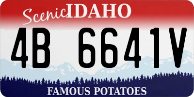 ID license plate 4B6641V