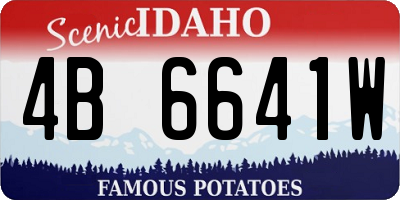 ID license plate 4B6641W