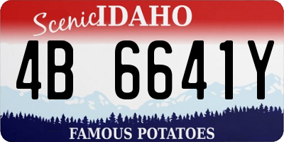 ID license plate 4B6641Y