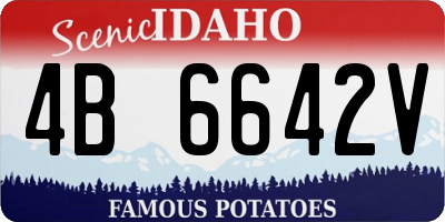 ID license plate 4B6642V