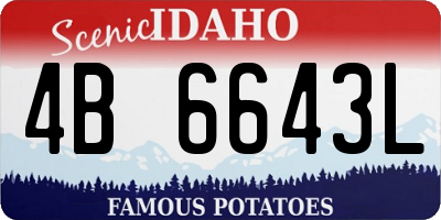 ID license plate 4B6643L