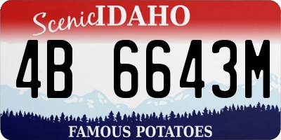 ID license plate 4B6643M