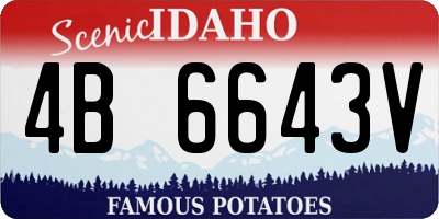 ID license plate 4B6643V