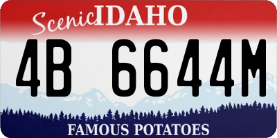 ID license plate 4B6644M