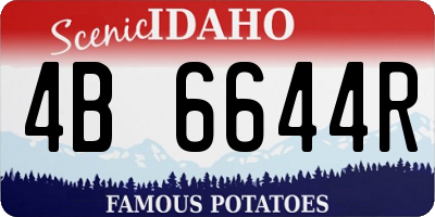 ID license plate 4B6644R