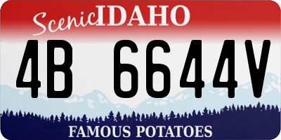 ID license plate 4B6644V