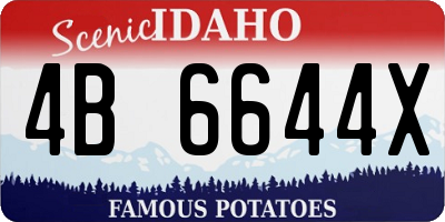 ID license plate 4B6644X
