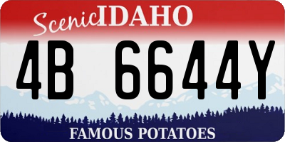 ID license plate 4B6644Y