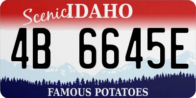 ID license plate 4B6645E