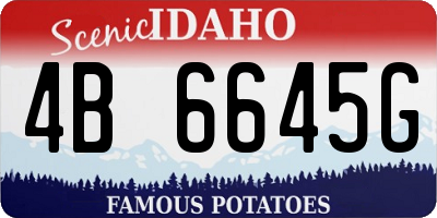 ID license plate 4B6645G