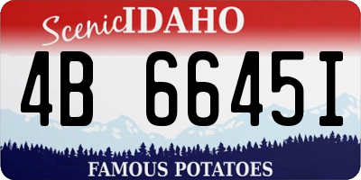 ID license plate 4B6645I