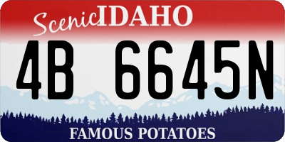 ID license plate 4B6645N