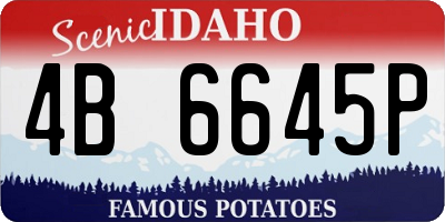 ID license plate 4B6645P