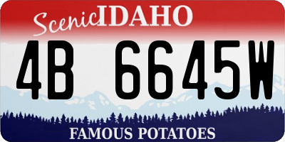 ID license plate 4B6645W