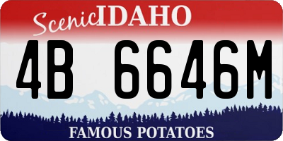 ID license plate 4B6646M