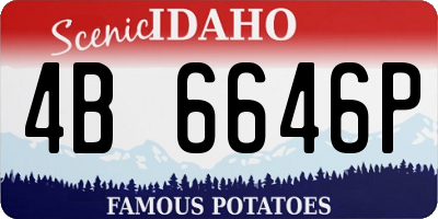 ID license plate 4B6646P
