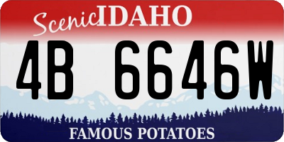 ID license plate 4B6646W