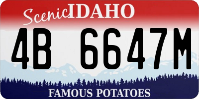 ID license plate 4B6647M