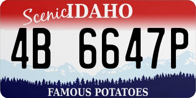 ID license plate 4B6647P