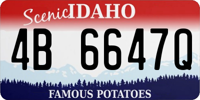 ID license plate 4B6647Q