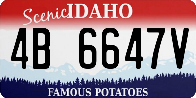 ID license plate 4B6647V