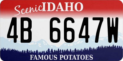ID license plate 4B6647W
