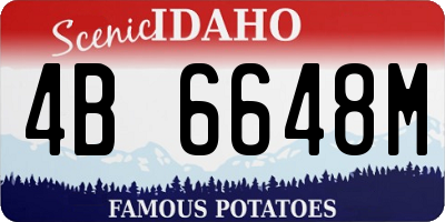 ID license plate 4B6648M