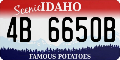 ID license plate 4B6650B