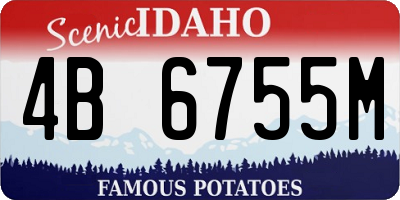ID license plate 4B6755M