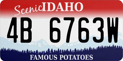 ID license plate 4B6763W