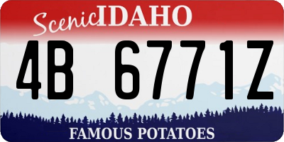 ID license plate 4B6771Z