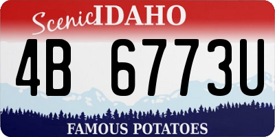ID license plate 4B6773U