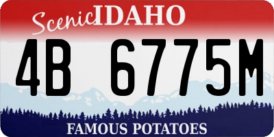 ID license plate 4B6775M