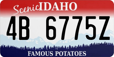 ID license plate 4B6775Z