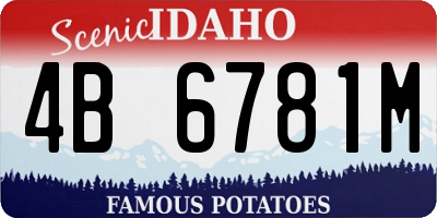 ID license plate 4B6781M