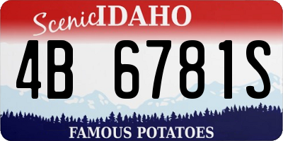 ID license plate 4B6781S