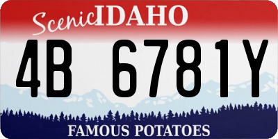 ID license plate 4B6781Y