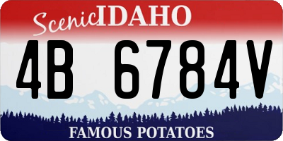 ID license plate 4B6784V