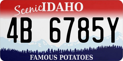 ID license plate 4B6785Y