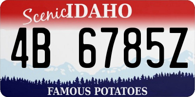 ID license plate 4B6785Z