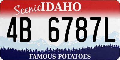 ID license plate 4B6787L